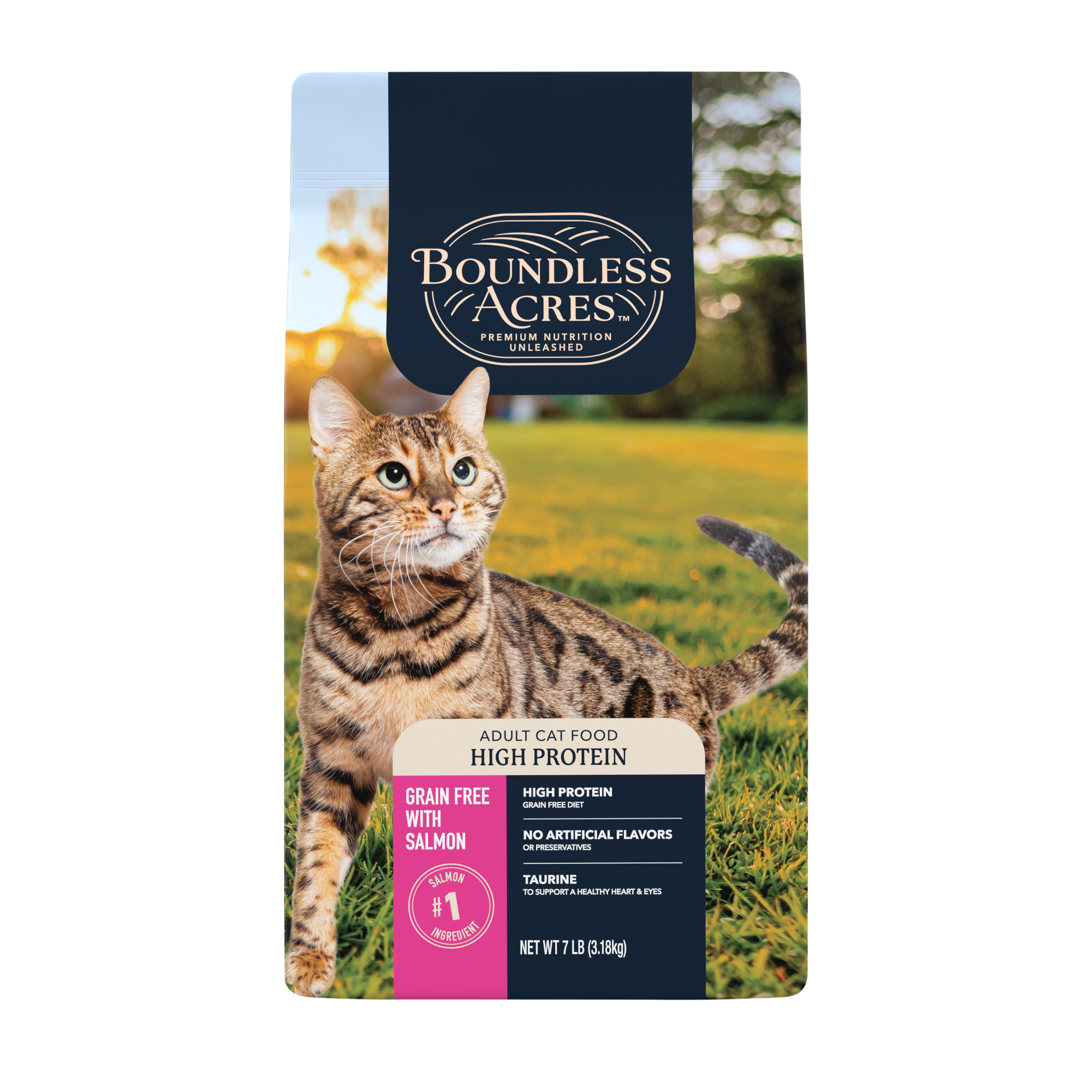 Grain Free Salmon High Protein Dry Cat Food