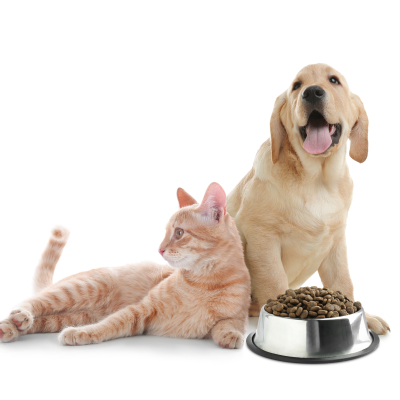 dog and cat with bowl of dry pet food on white background